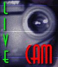 Live Cam